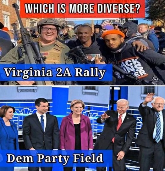 compare and contrast - virginia 2A vs dems.jpg